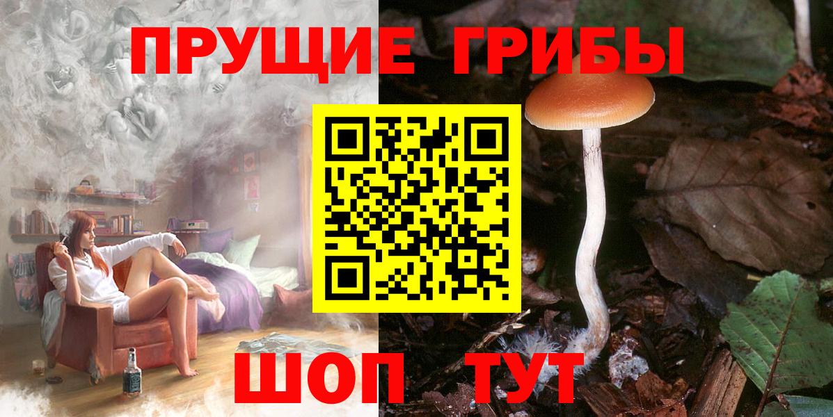 Троицк  Псилоцибиновые грибы Cubensis  Вход с VPN  Галлюциногенные грибы Psilocybe 