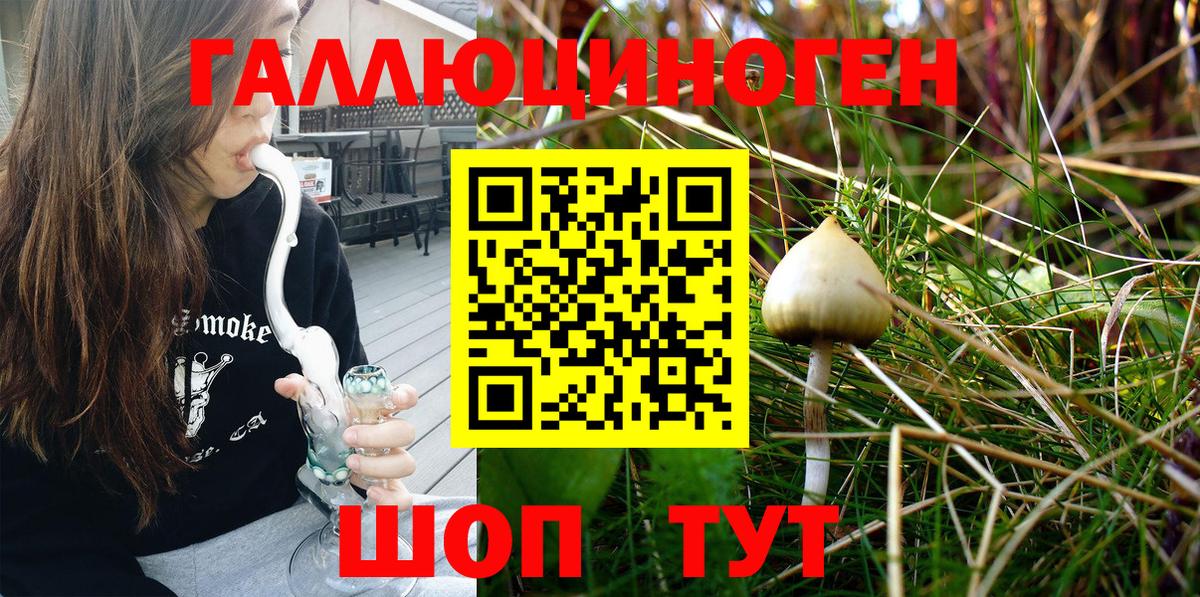 Галлюциногенные грибы MAGIC MUSHROOMS Троицк